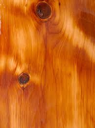 reclaimed pumpkin pine flooring