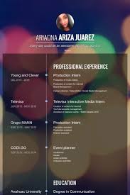 Video Production Resume Samples   Free Resume Example And Writing     renegadesolutions us