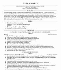 auditor resume example ernst & young