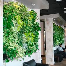 green wall with live plants livewall