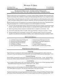        Personal Statement Resume Examples     Cv Personal                   resume personal statement resume personal statement resume personal  statement sample httptopresumeresume resume personal statement jpg