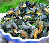 ahoy there   moules marinires   french sailor s mussels