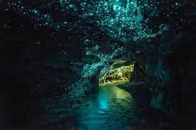 Image result for Ruakuri caves