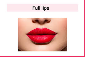 9 diffe types of lips their shapes