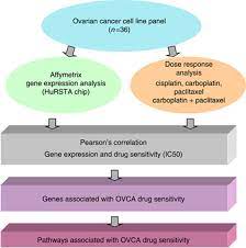 flow chart gene expression ysis
