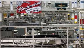 anheuser busch brewery in st louis