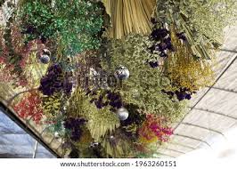 Add a new dimension with trailing plants. Shutterstock Puzzlepix
