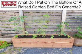 Raised Garden Bed On Concrete