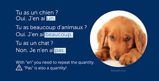how to use the oun en in french
