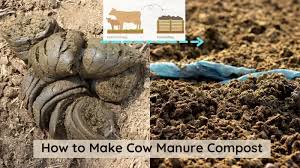 how to compost cow manure yardowner