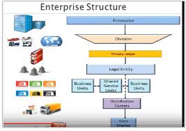 Fusion Enterprise Structure Esc Erp