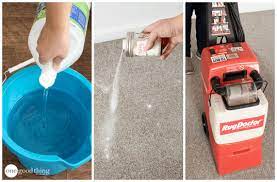 natural carpet cleaning solution
