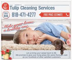 tulip cleaning services 11201 otsego