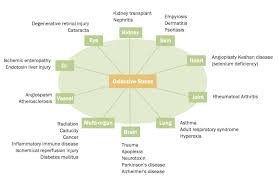 Oxidative Stress Biochemical Assay Kits Elabscience