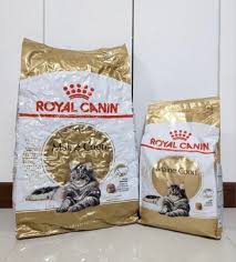 royal canin maine 4kg 10kg