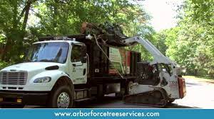 Trees that have been severely damaged or have begun to die can be dangerous to keep around. Tree Service In Lawrenceville Ga Arborforce Tree Service