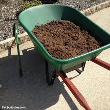 improve soil quality with composted cow