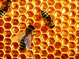 the meaning of honey in the