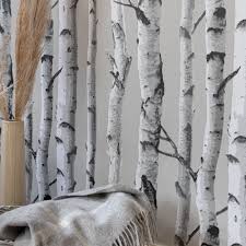 Nu Wallpaper Birch Tree L And Stick