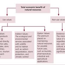 natural resources in africa