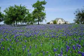 ranches and homes with acreage texas