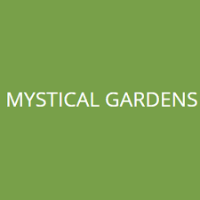 mystical gardens flower palmetto