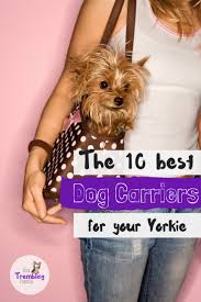 10 Small Dog Carriers Perfect For Your Yorkshire Terrier