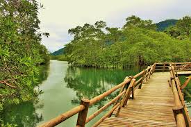 Resultado de imagen para SITIOS TURISTICOS DE NUQUI