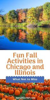 fun things to do this fall in chicago