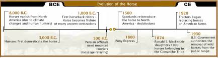 Wild Horses Evolution Timeline Netnebraska Org
