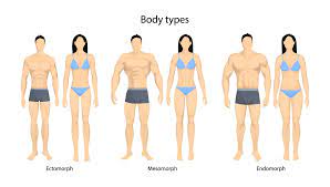 what body type am i
