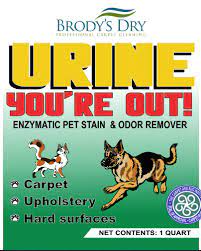 urine you re out stain odor remover