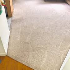 karytas carpet cleaning carpet