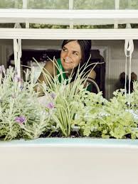 Benefits Of A Window Box Herb Garden