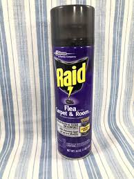 raid flea plus carpet room