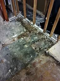 Flooded Basement Water Damage Cleanup
