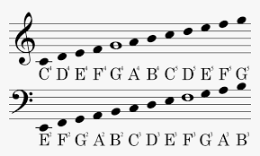 How to read bass clef piano notes. Treble And Bass Clef Notes Hd Png Download Kindpng