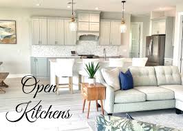 open kitchen design the kitchen island