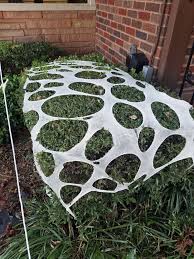Decor Spider Web Outdoor