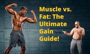 gaining muscle and not just fat