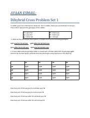 Set up a punnett square using the following information: Dihybrid Worksheet 1 Pdf Name Period Date Chapter 10 Dihybrid Cross Worksheet In Rabbits Gray Hair Is Dominant To White Hair Also In Rabbits Black Course Hero