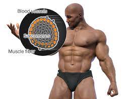how bodybuilders many on steroids