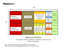 Garden Templates Mexican Garden