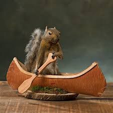Canoeing Squirrel Trophy Mount Woodland Creek Furniture