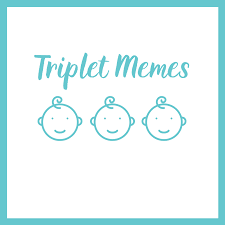 They're combining that new fertility drug with a birth control pill for people who don't want triplets. 7 Triplet Memes And Triplet Quotes Ideas Triplet Quotes Triplets Quotes
