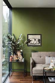 Best Olive Green Paint Colors In Action