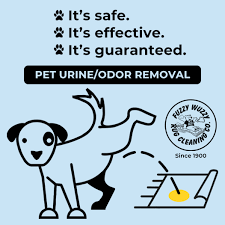 seattle pet odor removal service pet