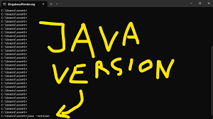 how to check java version be on the