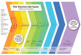U.S. Vaccine Safety - Overview, History ...