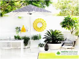 Terrace Garden Delhi Gurgaon Noida India